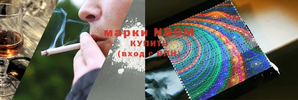 шишки Нея