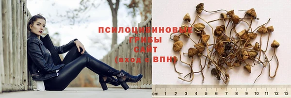 шишки Нея