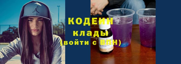 шишки Нея