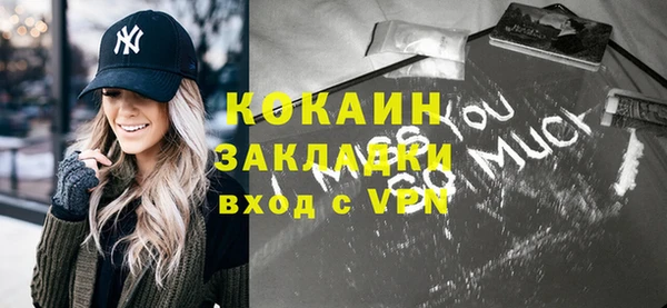 шишки Нея