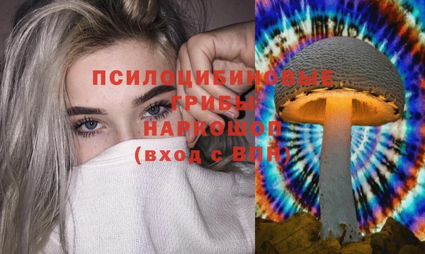 шишки Нея
