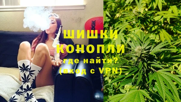 стафф Богданович