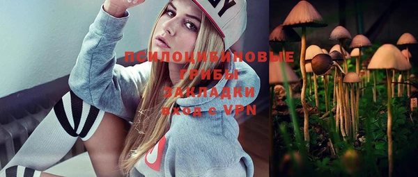 мдпв Навашино