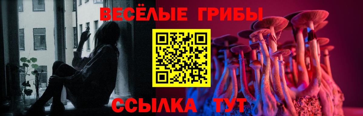 закладки  Галлюциногенные грибы Psilocybine cubensis  Вход с VPN  Костомукша 